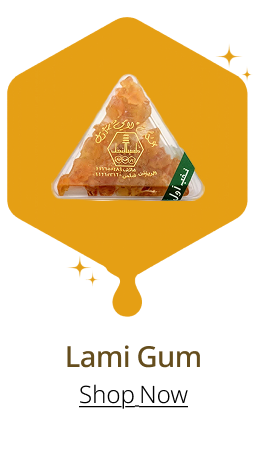 Lami gum